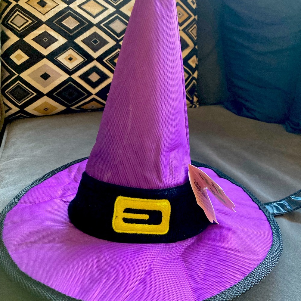 Witch hat for a dog